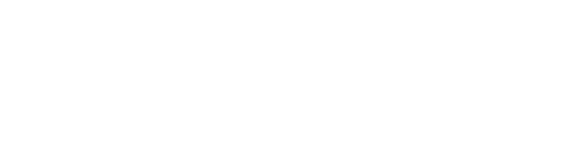 NORBLIS — Nordic Broadband Light Solutions